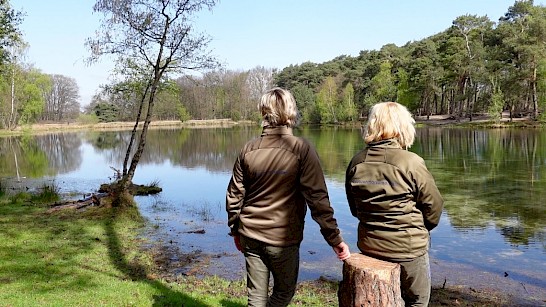 Op stap met de boswachters op hee Buurserzand