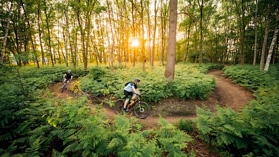 Mountainbiken in Winterswijk - foto Sven Scholten