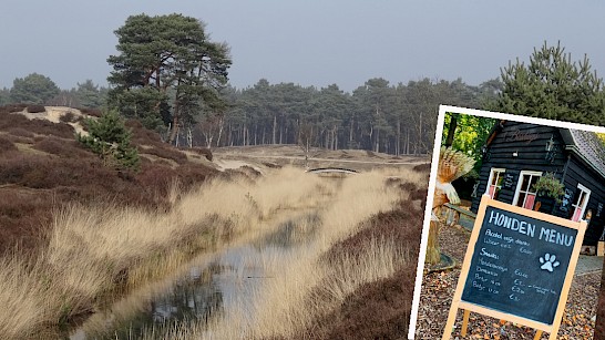 Echtenerzand met Boshuys Echten