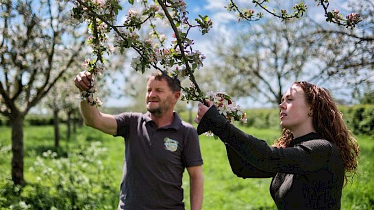 Vader en dochter bekijken de bloesems.