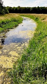 "Hoge Leiding" op de "Bevermeer " (geüpload door Ben Lebbink)