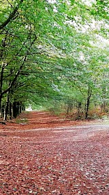 Sliekroute / Hessenweg (geüpload door Ben Lebbink)